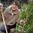 Fotografía de Joaquín Araújo