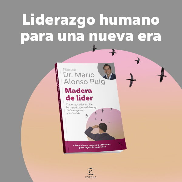 Banner Madera de lider