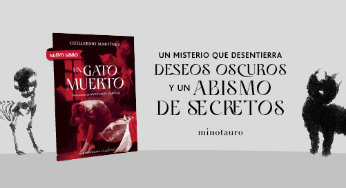 Banner Un gato muerto