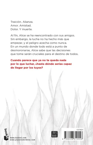 Contraportada Ciudades de fuego. Edición especial con cantos decorados