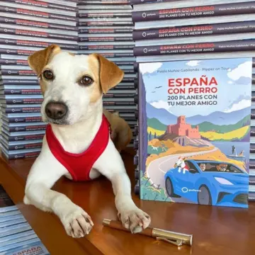 Imagen extra España con perro 0
