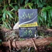 Portada Verdades enterradas (Serie Bergman 7) 0