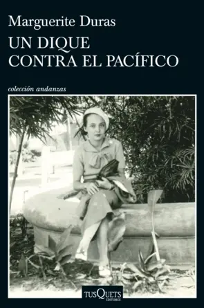 Portada Un dique contra el Pacífico