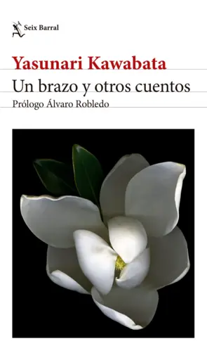 Portada Un brazo y otros cuentos. Edición 2024