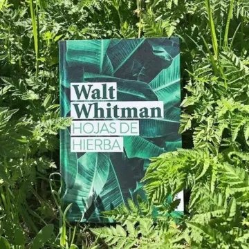 Imagen extra Hojas de hierba 1