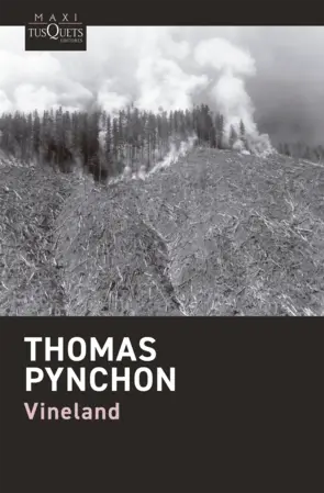 Portada Vineland