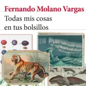 Portada Todas mis cosas en tus bolsillos