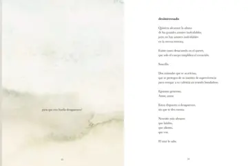 Imagen extra Si el mar no regresa 0