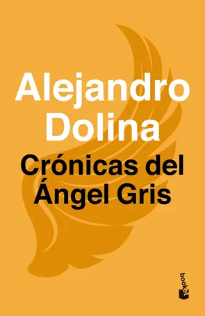 Portada Crónicas del ángel gris