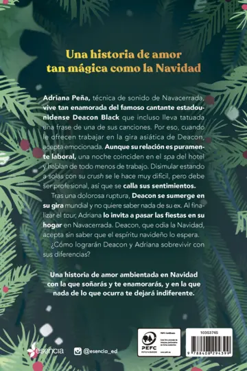 Contraportada Una Navidad muy fun, fun, fun