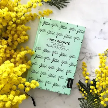 Imagen extra Cumbres borrascosas 2