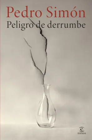 Portada Peligro de derrumbe