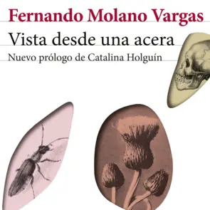 Portada Vista desde una acera