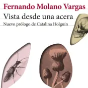 Portada Vista desde una acera