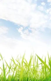 Miniatura contraportada Las parejas inteligentes se enriquecen juntas