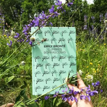 Imagen extra Cumbres borrascosas 1