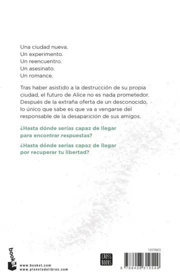 Contraportada Ciudades de cenizas. Edición especial con cantos decorados