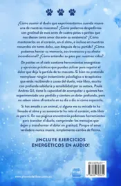 Miniatura contraportada De patitas en el cielo