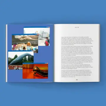 Imagen extra Rubius. Japón 2009 3