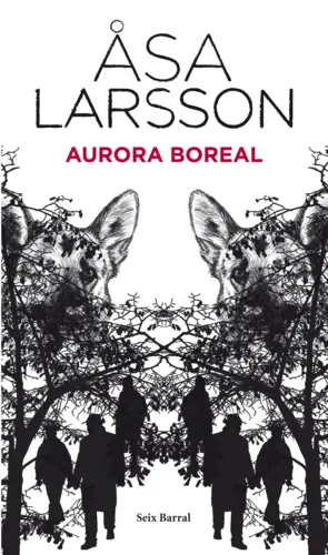 Portada Aurora boreal